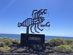 Mehr über den Artikel erfahren Jameos del Agua – Magische Vulkanwelt unter Lanzarotes Oberfläche