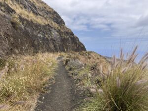 Mehr über den Artikel erfahren Wanderungen